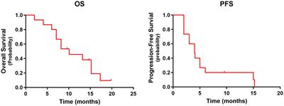 Tislelizumab plus nimotuzumab is effective against recurrent or metastatic oral squamous cell carcinoma among patients with a performance status score ≥ 2: a retrospective study